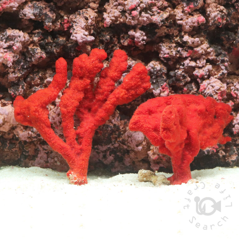 Red-Tree-Sponge