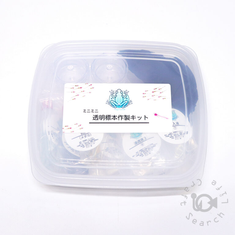 Transparent-Skeletal-Specimen-Kit_mini