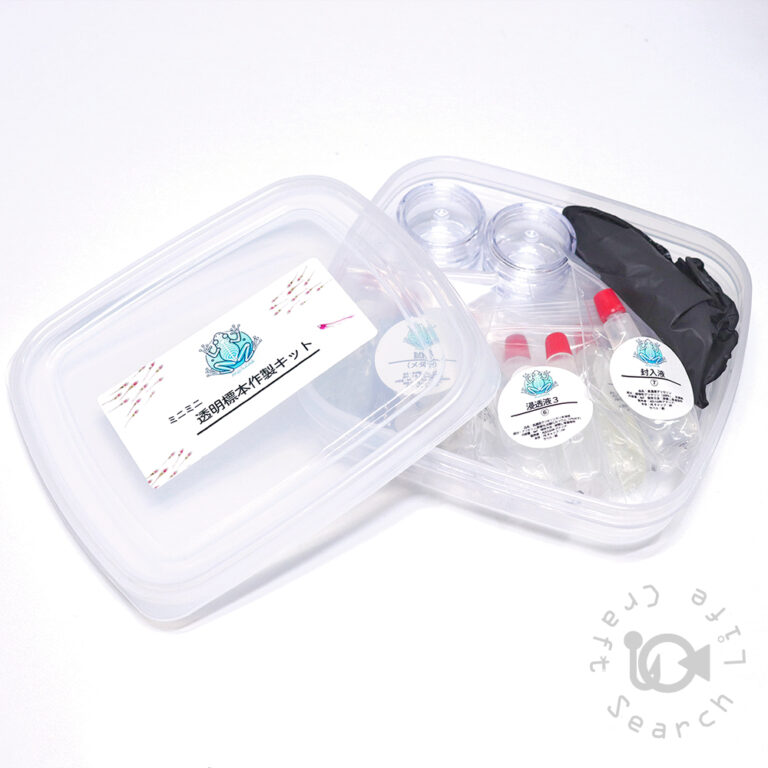 Transparent-Skeletal-Specimen-Kit_mini