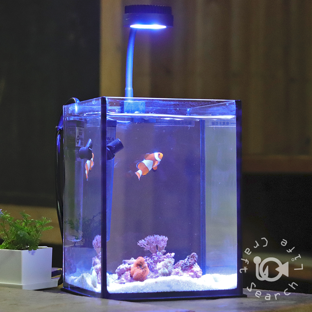 【小型水槽セットコース】