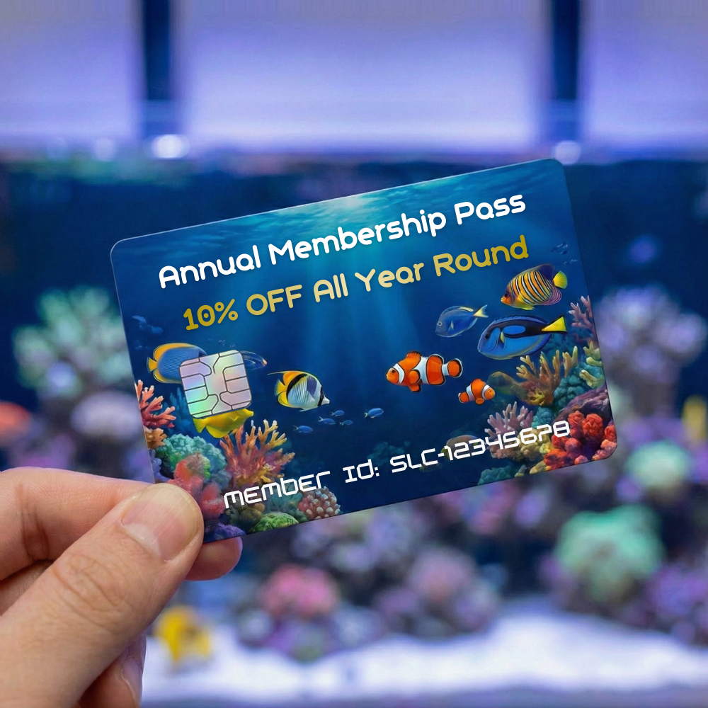 【年パス＋プレートコース②】